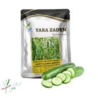 خیار هیبرید رقم سوفیا (YZ 1359)